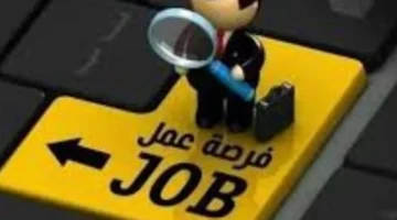 وزارة العمل توفر 500 فرصة عمل جديدة برواتب تنافسية لجميع المؤهلات الدراسية